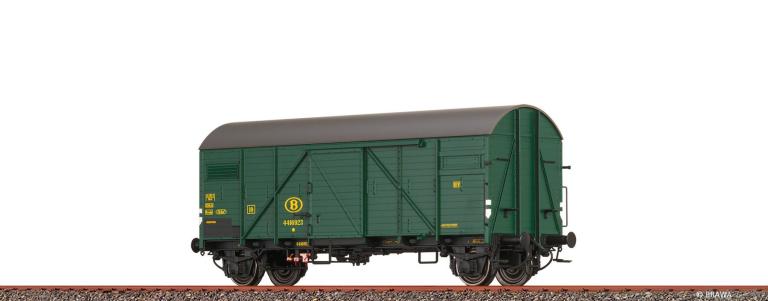 Bra51183