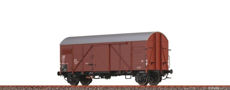 Bra51193