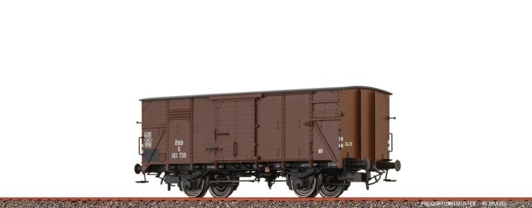 Bra51251