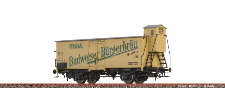 Bra51260