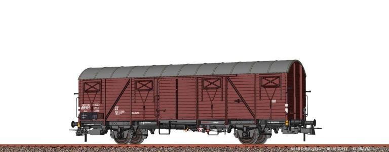 Bra51294